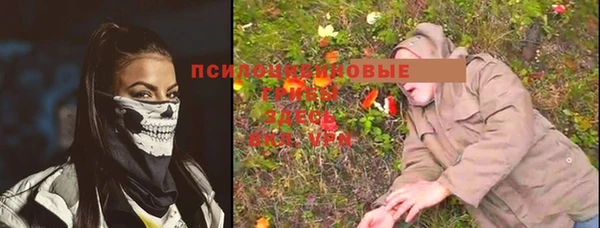 стафф Алзамай
