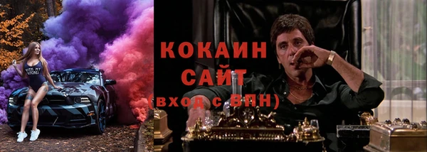 стафф Алзамай