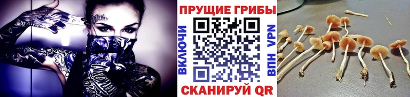 Галлюциногенные грибы прущие грибы  Миньяр 